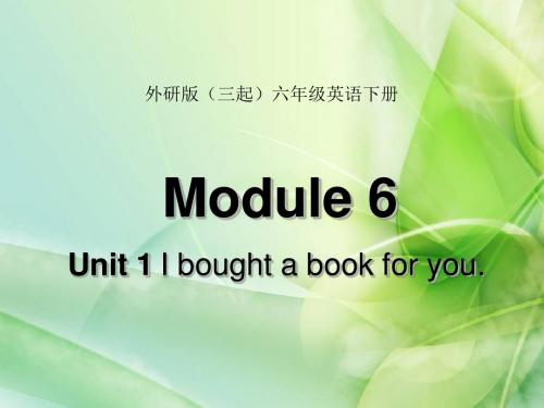 最新审定外研版(三起)英语六年级下册《Module 6 Unit 1》PPT课件3[精品]