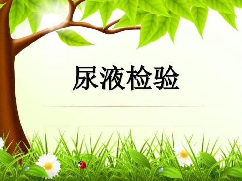 尿液全套检验