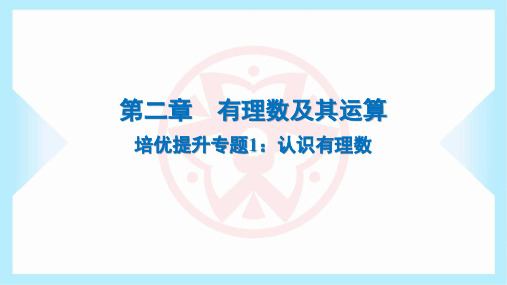 2024年北师大版七年级上册数学第二章有理数及其运算培优提升专题1：认识有理数