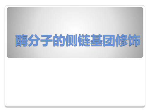 酶分子侧链基团修饰1