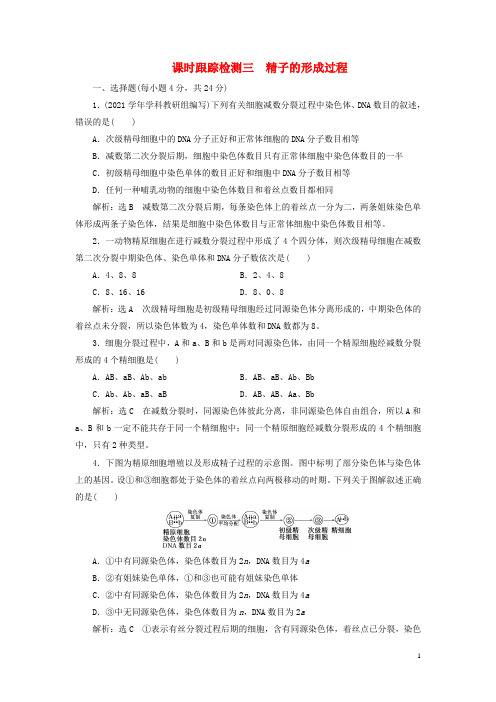 高中生物(2021年)第1课时精子的形成过程课时跟踪检测新人教版必修2