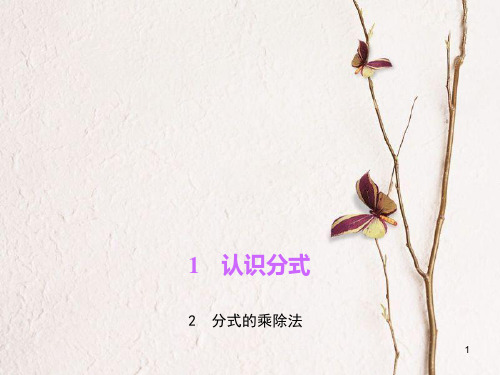 八年级数学下册 第五章 分式与分式方程 2 分式的乘除法作业课件 (新版)北师大版.pptx