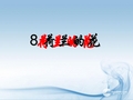五年级语文下册 荷兰的花 2课件 沪教版