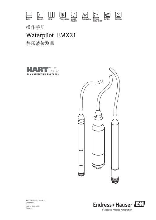 E+H Waterpilot FMX21 静压液位计操作手册