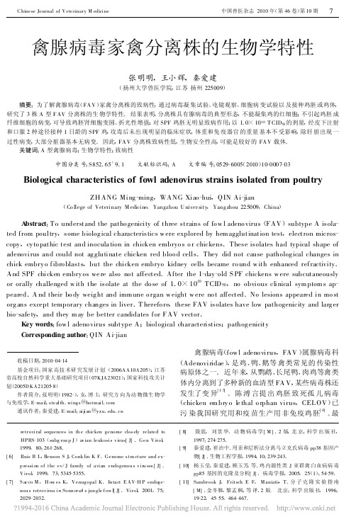 禽腺病毒家禽分离株的生物学特性_张明明