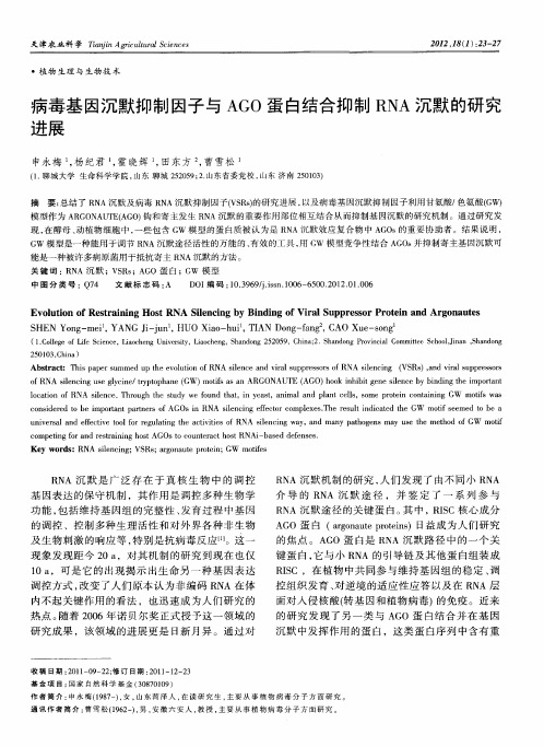 病毒基因沉默抑制因子与AGO蛋白结合抑制RNA沉默的研究进展