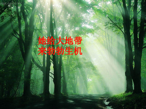 2012课题2《二氧化碳制取的研究》PPT课件