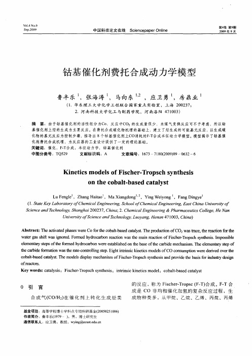 钴基催化剂费托合成动力学模型