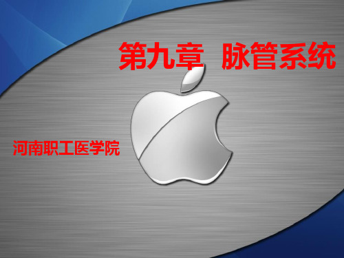 脉管系统解剖、生理 PPT课件