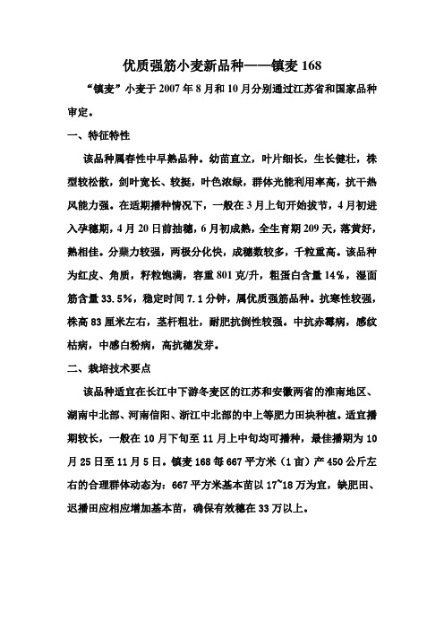 镇麦168
