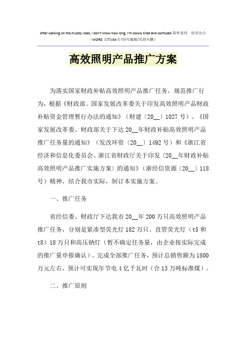 2021年高效照明产品推广方案