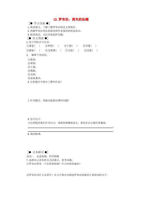 八年级语文下册 12.罗布泊,消失的仙湖学案 人教新课标版