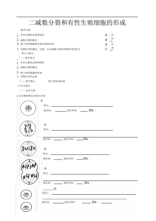 人教版高中生物必修二减数分裂教案