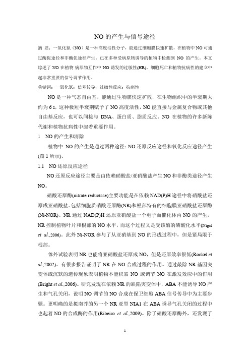 NO的产生与信号途径
