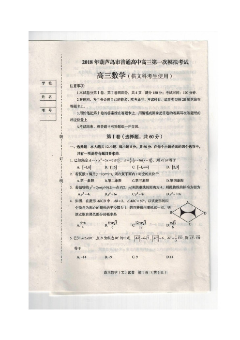 辽宁省葫芦岛市2018届高三下学期普通高中第一次模拟考试文科数学试题 扫描版含答案