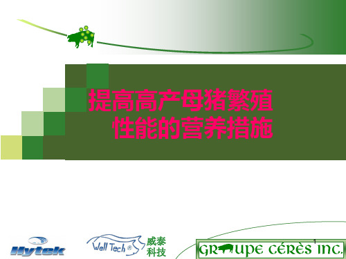 提高高产母猪繁殖性能的营养措施PPT课件