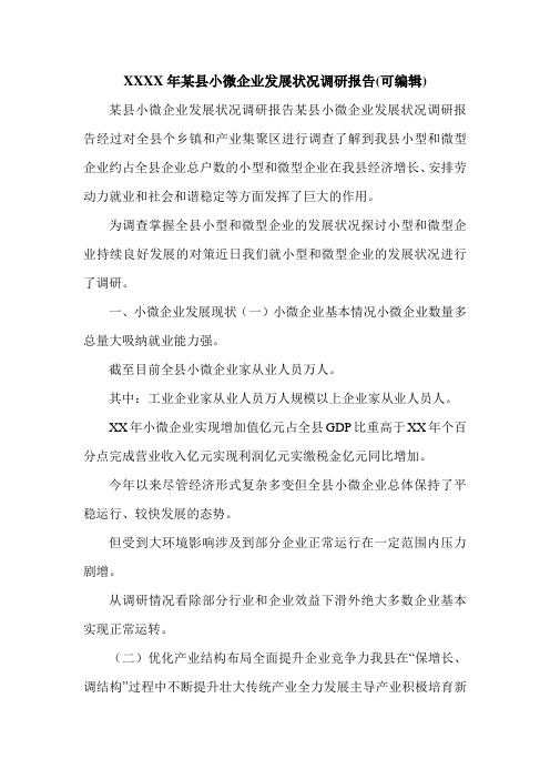 XXXX年某县小微企业发展状况调研报告(可编辑).doc