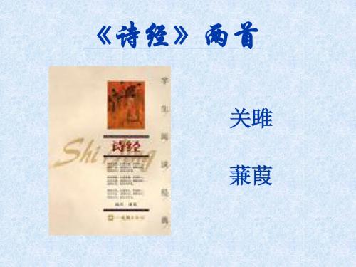 24诗经两首《关雎》《蒹葭》