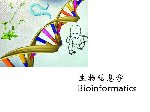 bioxm使用说明