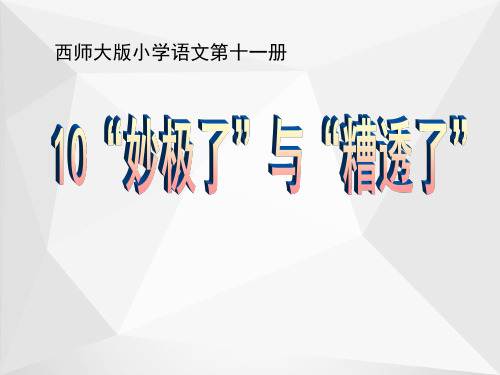 《妙极了与糟透了》ppt课件