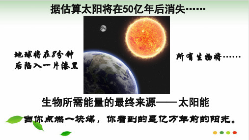 高中生物人教版必修一课件：能量之源光与光合作用