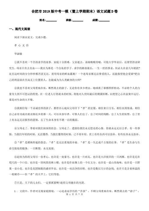 合肥市2019版中考一模(暨上学期期末)语文试题D卷