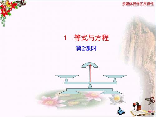 六年级数学上册4.1等式与方程(第2课时) 精品优选PPT课件鲁教版五四制