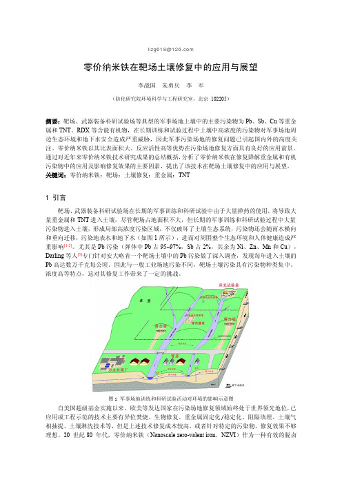 零价纳米铁在靶场土壤修复中应用展望