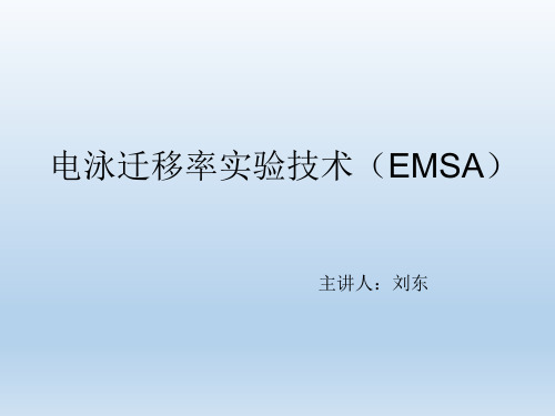 EMSA实验..
