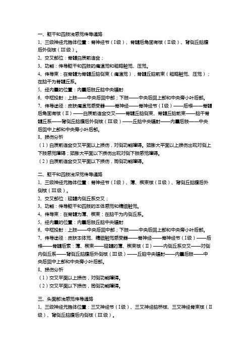 传导通路