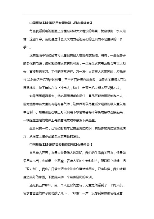 中国骄傲119消防日专题特别节目心得体会5篇