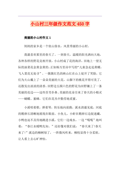 小山村三年级作文范文450字