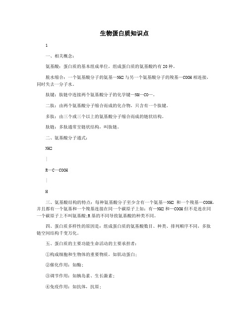 生物蛋白质知识点