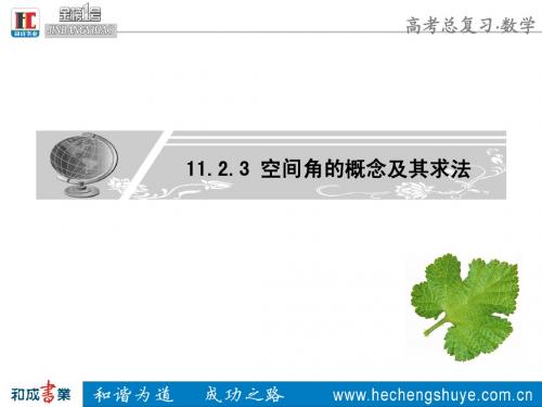 11.2.3 空间角的概念及其求法