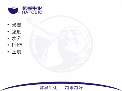 植物吸收营养因素