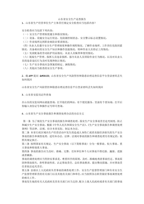 山东省安全生产巡查报告安全生产