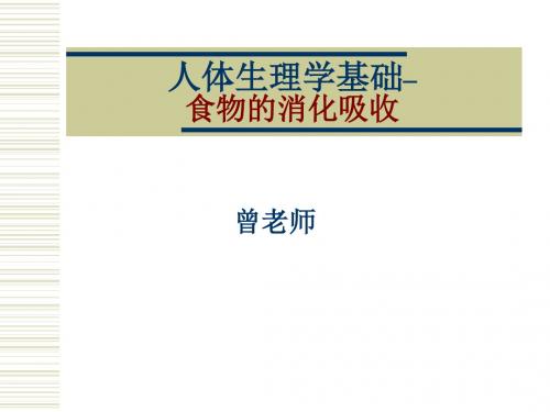 人@体@生@理@学@基@础