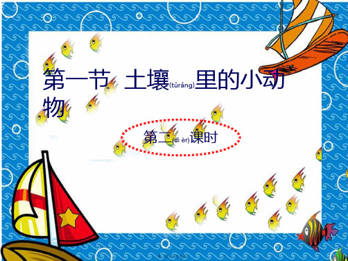 七年级生物《土壤里的小动物》课件