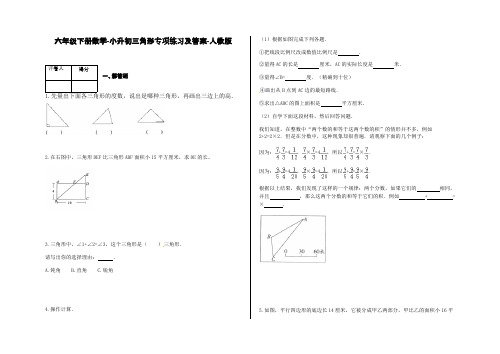 六年级下册数学-小升初三角形专项练习及答案-a-人教版