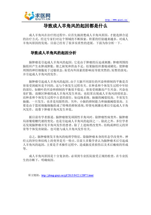 导致成人羊角风的起因都是什么