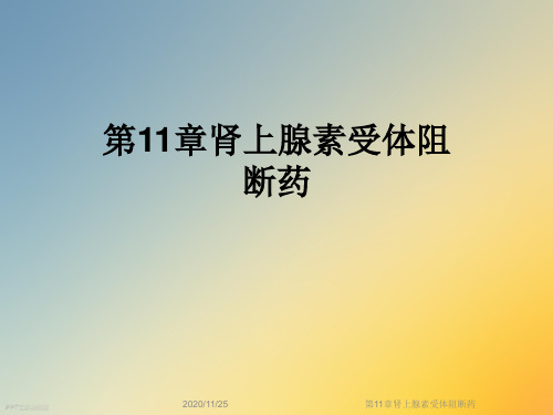 第11章肾上腺素受体阻断药