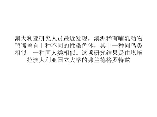 澳研究：鸭嘴兽的性别是由5对染色体决定