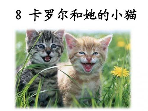 8卡罗尔和她的小猫