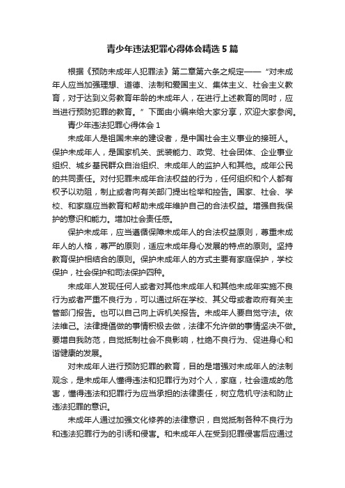 青少年违法犯罪心得体会精选5篇