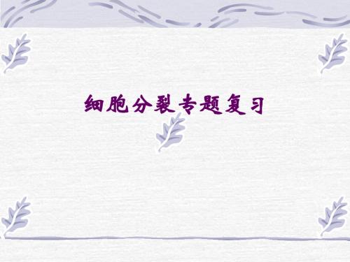专题一、细胞分裂专题1
