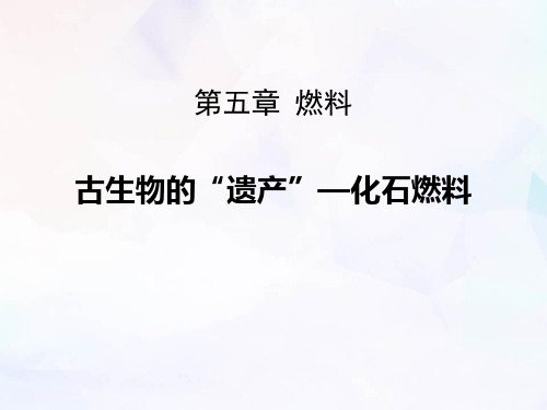 《古生物的“遗产”―化石燃料》燃料PPT鉴赏