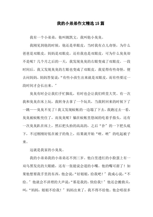 我的小弟弟作文精选15篇精选