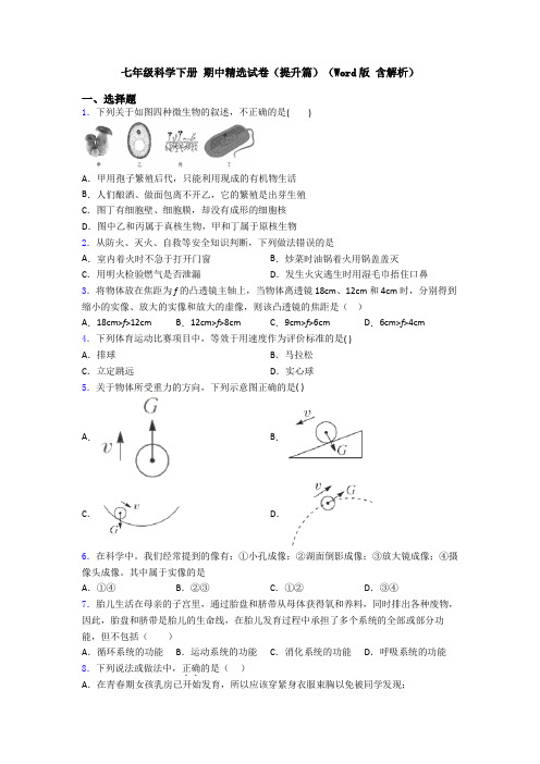 七年级科学下册 期中精选试卷(提升篇)(Word版 含解析)