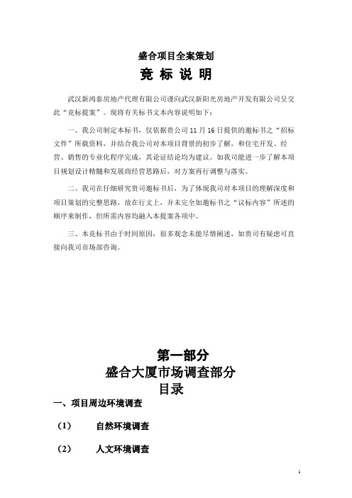 盛合项目全案策划