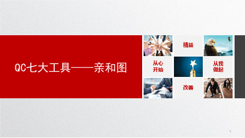 亲和图ppt课件